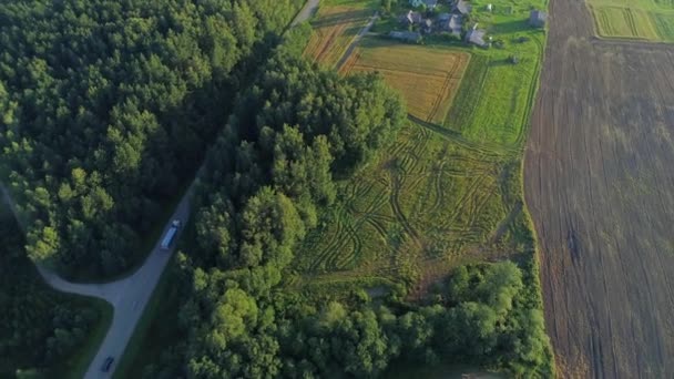 Pemandangan udara ladang gandum — Stok Video