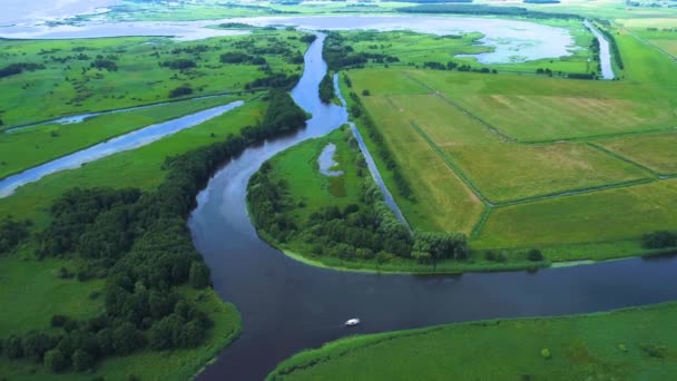 Flug über Fluss in Wiesen — Stockvideo