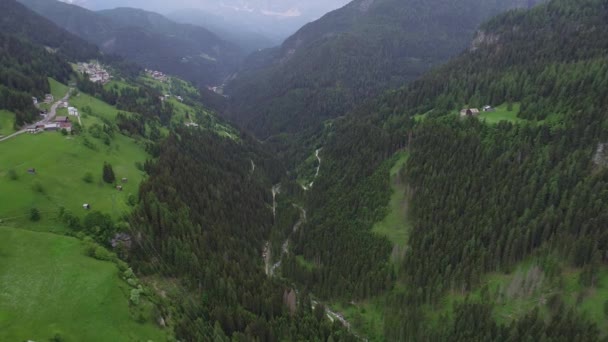 Vuelo sobre el bosque en las montañas — Vídeos de Stock