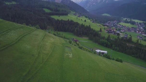 산에 숲을 통해 비행 — 비디오