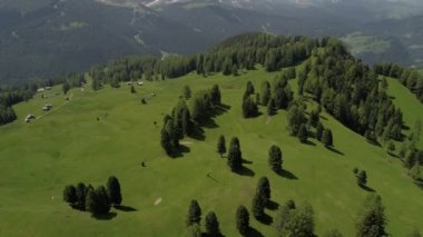 Orman dağlarında üzerinde uçuş