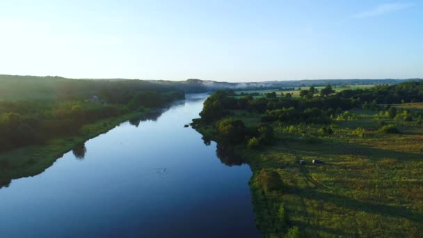 Paisaje terrestre aéreo del río en prados verdes — Vídeos de Stock