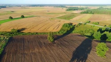 buğday alan havadan görünümü