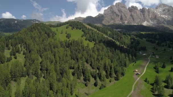 Volo sopra la foresta in montagna — Video Stock