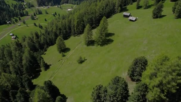 Flug über Wald in den Bergen — Stockvideo