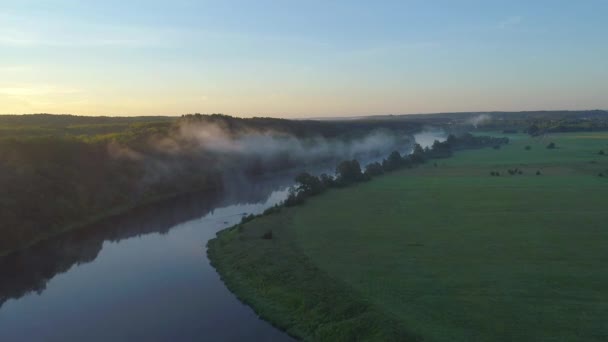 Letecký parkovistě řeky v zelené louky — Stock video