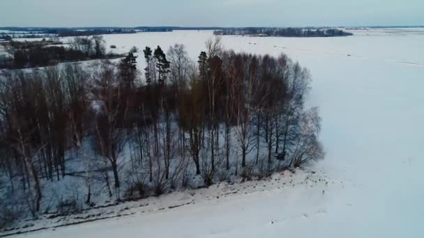 Vlucht over de filds in de winter — Stockvideo