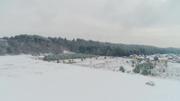 Luchtfoto van winter besneeuwde forest — Stockvideo