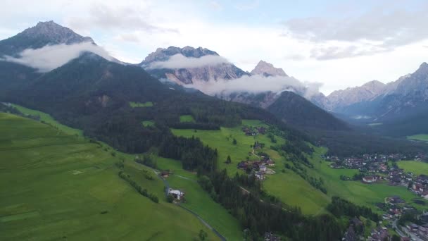 Survol de la forêt en montagne — Video