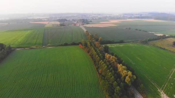 Ochtend vlucht boven rivier — Stockvideo