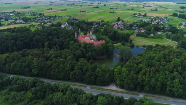 Політ над старим замком у зеленому лісі — стокове відео