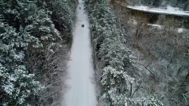 Widok z lotu ptaka w kabinę poruszającą się w zimowym lesie — Wideo stockowe