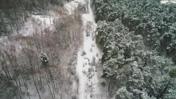 Luftaufnahme des verschneiten Winterwaldes — Stockvideo