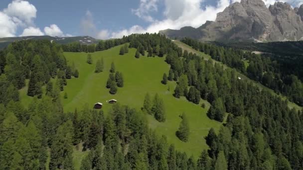 Flyg över skogen i bergen — Stockvideo