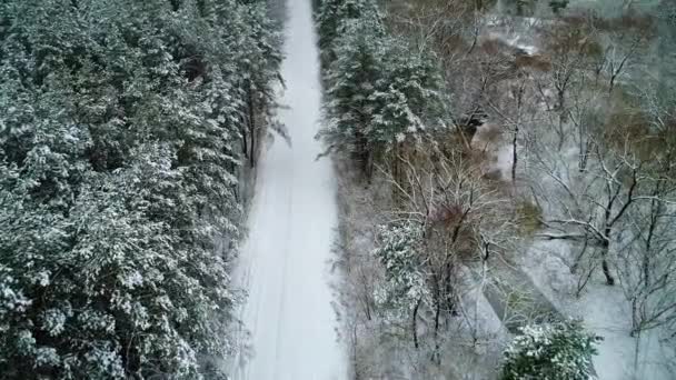 Vista aérea del coche en movimiento en el bosque de invierno — Vídeo de stock