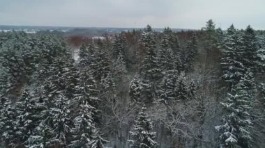 karlı kış orman havadan görünümü