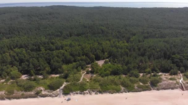 Aerial view of seashore with sandy beach — Stock Video