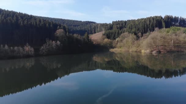 Vlucht over het meer in de lente — Stockvideo