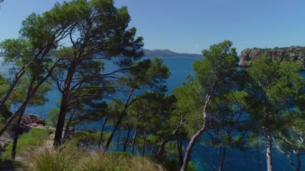 Flight over beautiful seashore at Mallorca — Stock Video