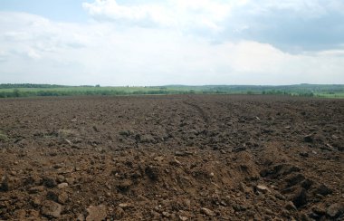 Güneşli yaz gününde silüeti çok uzakta sürülmüş alan ve orman ile Doğa manzara. Yatay görünüm