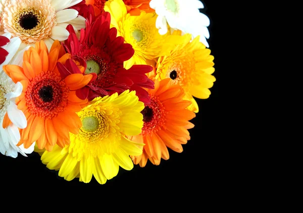 美丽的圆五颜六色的彩色 Gerberas 花束在黑色背景上的照片上的左上角特写 — 图库照片