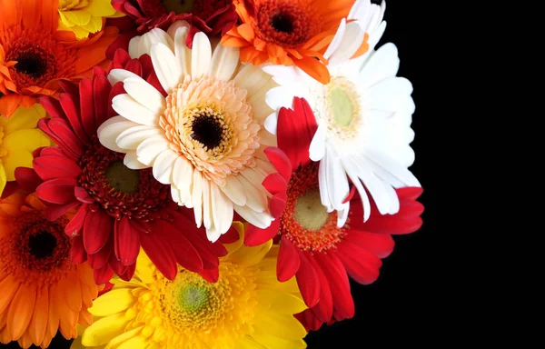 Bellissimo Bouquet Variopinto Rotondo Gerbere Multicolore Sul Lato Sinistro Della — Foto Stock