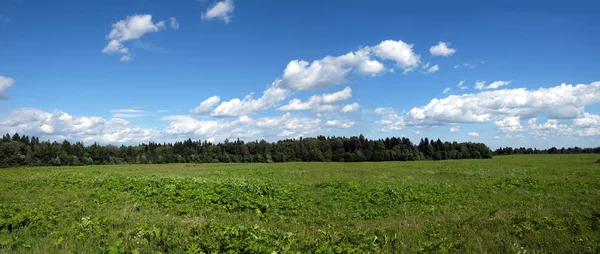 Schöne Ländliche Panoramalandschaft Mit Grünem Feld Mischwald Und Weißen Wolken — Stockfoto