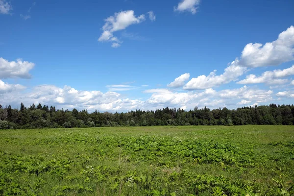 Beautiful Countryside Landscape Green Field Mixed Forest White Clouds Blue — Stock Photo, Image