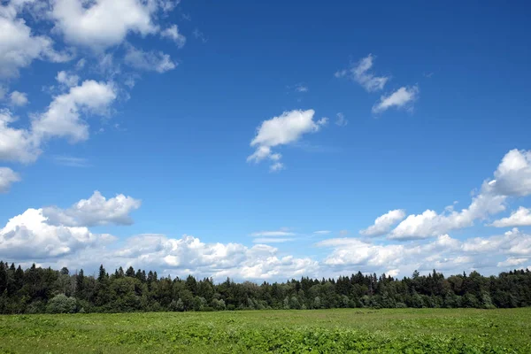 Krásné Venkovské Krajiny Modrou Oblohu Bílé Mraky Nad Zelené Louce — Stock fotografie