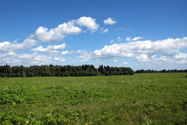 Beautiful Countryside Landscape Green Field Mixed Forest White Clouds Blue — Stock Photo, Image