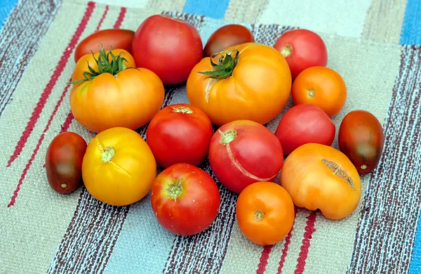 Many Ripe Red Orange Tomatoes Colorul Stripe Fabric Top View — Stock Photo, Image