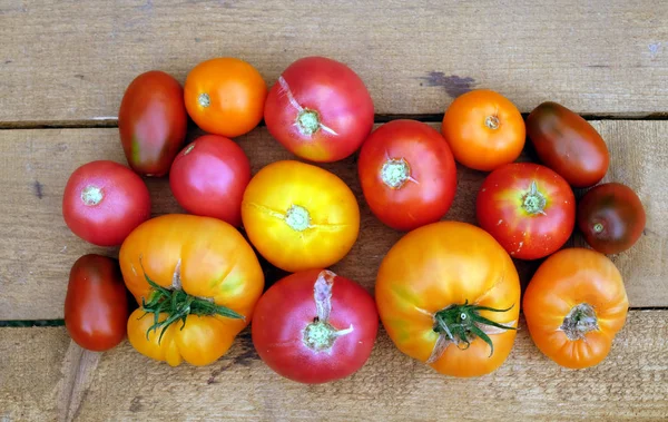 Naturaleza Muerta Aire Libre Con Tomates Rojos Naranjas Maduros Superficie —  Fotos de Stock