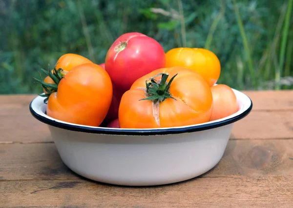 Outdoor Still Life Ripe Red Orange Tomatoes White Bowl Brown — Stock Photo, Image