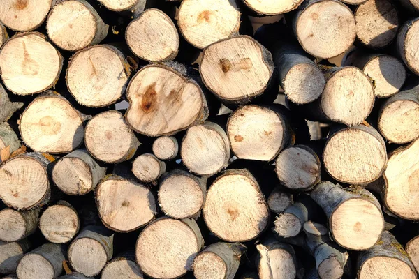 Many Sawed Firewood Prepared Stacked Pile Background Front View Closeup — Stock Photo, Image