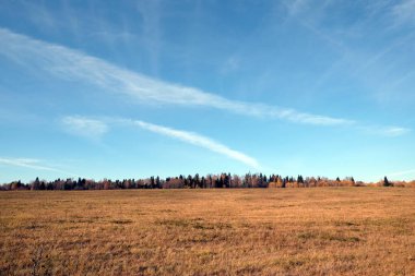 Panoramik kırsal peyzaj alanı ve çok güzel mavi gökyüzü güneşli altın sonbaharda beyaz bulutlar ile altında orman ile