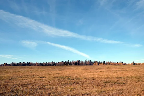 Krajobraz Panoramiczny Pejzaż Pole Las Daleko Pod Piękne Błękitne Niebo — Zdjęcie stockowe