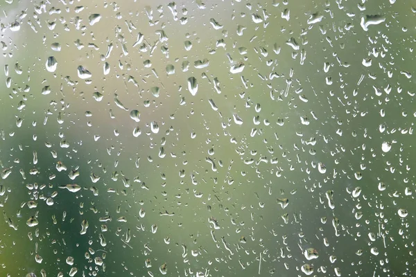 Background with rain droplets on window glass on gloomy autumn day on blur flora background closeup