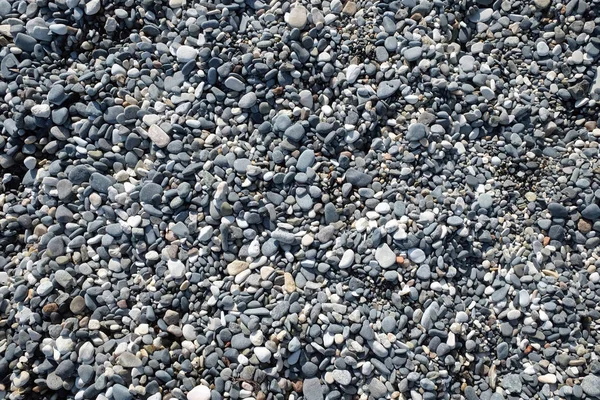 Muchas Pequeñas Piedras Guijarro Lisas Playa Del Mar Día Soleado — Foto de Stock