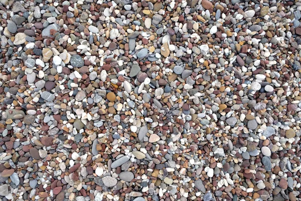 Fondo Muchas Pequeñas Piedras Guijarro Liso Playa Del Mar Día — Foto de Stock