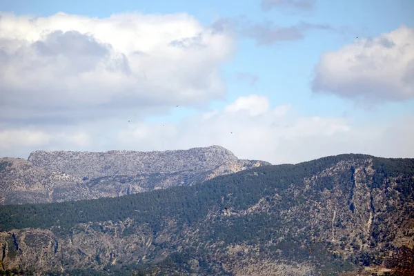 Hermoso Paisaje Natural Con Altas Montañas Con Rocas Muchos Árboles —  Fotos de Stock