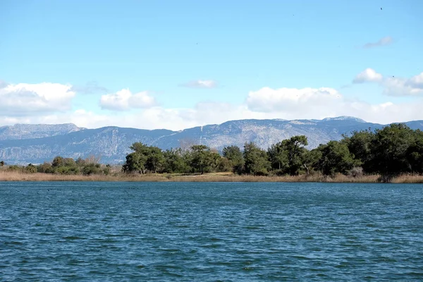 美丽的自然景观与湖在前景和绿色针叶林和高山山坡覆盖着树木在遥远的蓝天下与云天在阳光明媚的天 — 图库照片