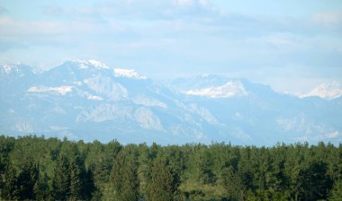 Bahar açık yeşil ormanda yukarıda üstleri beyaz kar kapaklar ile yüksek zaptedilemez Türk Dağları görüntülemek