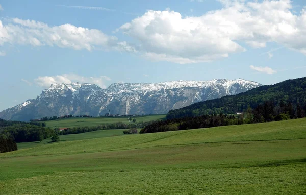 Krásná Venkovská Krajina Kvetoucí Alpskými Loukami Zelenou Trávou Horami Sněhovými — Stock fotografie