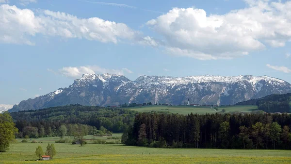 Schöne Panoramische Landschaft Mit Blühenden Almwiesen Mit Grünem Gras Und — Stockfoto