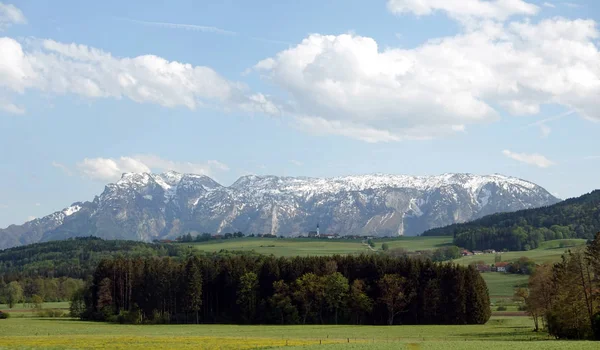 Krásná Venkovská Krajina Kvetoucí Alpskými Loukami Zelenou Trávou Vysokými Horami — Stock fotografie
