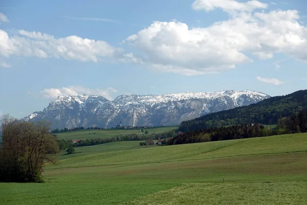 Schöne Ländliche Landschaft Mit Blühenden Almwiesen Mit Grünem Gras Und — Stockfoto
