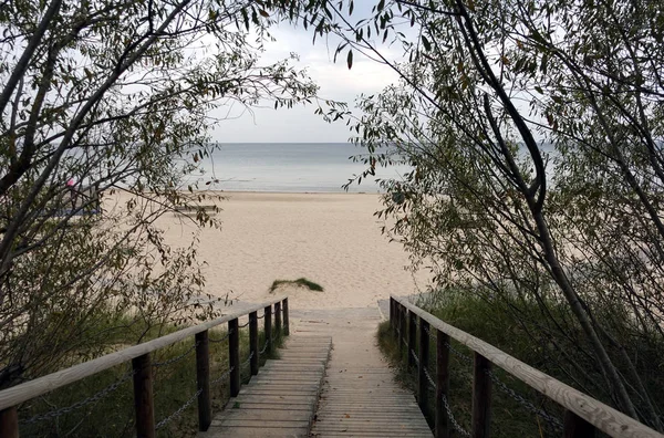 Μονοπάτι Προς Την Κενή Αμμώδη Παραλία Ξύλινες Σκάλες Που Περνάνε — Φωτογραφία Αρχείου