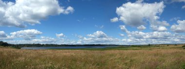 Güzel kırsal panoramik manzara. Göl, bitkisel çayır ve açık güneşli yaz gününde mavi gökyüzünde beyaz bulutlar.