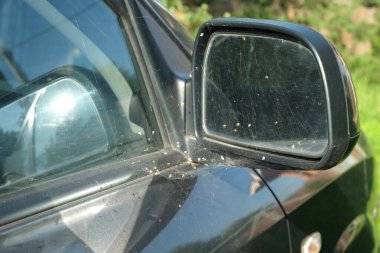 Örümcek ağıyla kavramsal fotoğraf, uzun zamandır hareketsiz, terk edilmiş eski yolcu vagonu yan ayna görüntüsü.