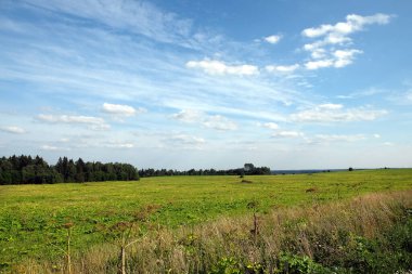 Yeşil çayırlı güzel kırsal alan, uzak ormanlar ve yaz gününün ortasında mavi gökyüzünde beyaz bulutlar.